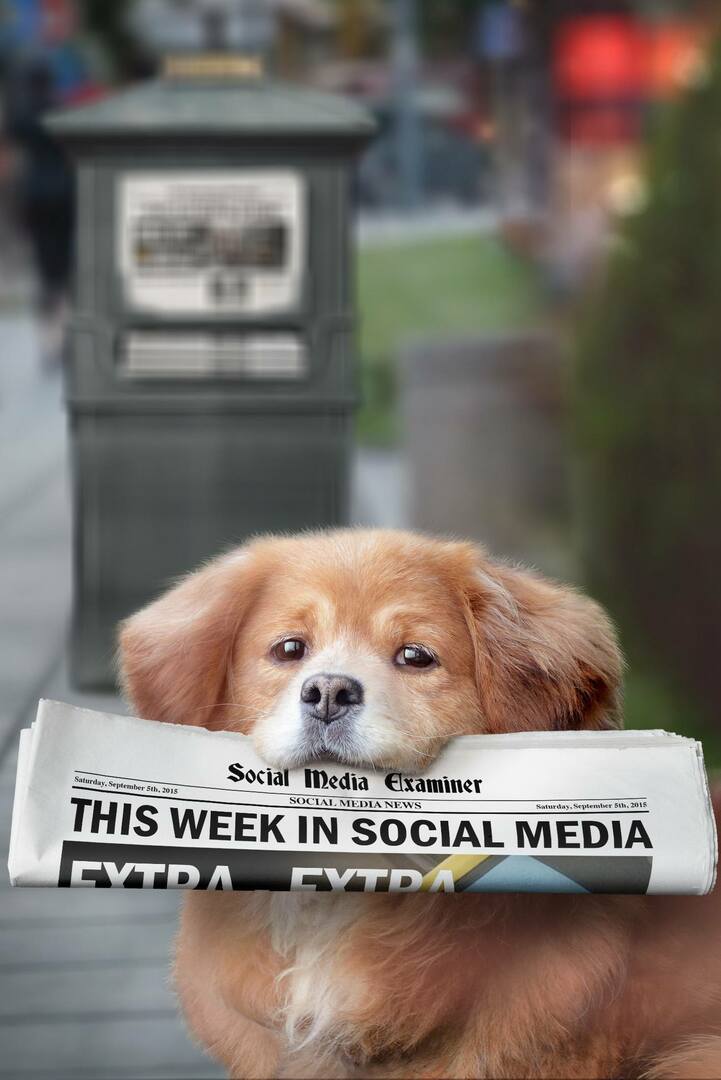 Meerkat présente les hashtags en direct: Cette semaine dans les médias sociaux: Social Media Examiner