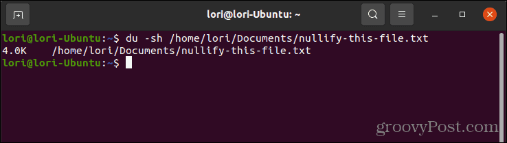 Utilisation de la commande du pour vérifier la taille d'un fichier sous Linux