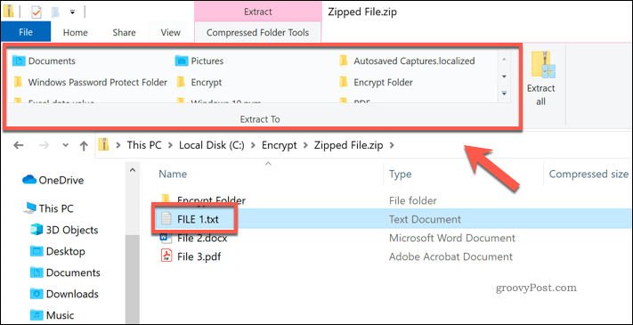 Extraction d'un fichier individuel à partir d'un fichier Zip dans l'Explorateur de fichiers Windows