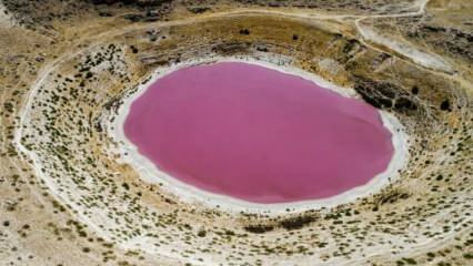 La couleur du lac Meyil Obruk est devenue rose!