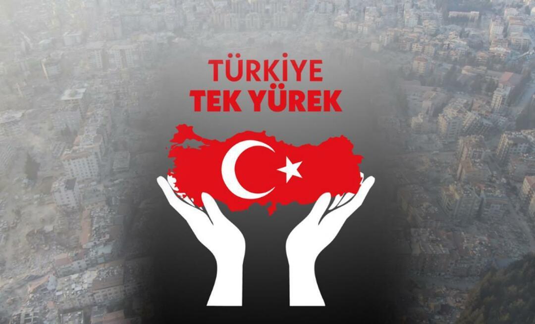 Quand est la diffusion conjointe Türkiye Single Heart, quelle heure est-il? Sur quelles chaînes passe la nuit d'aide au tremblement de terre ?