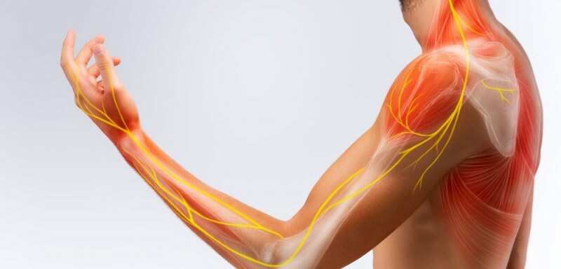 des dommages au système nerveux peuvent provoquer un engourdissement dans le bras gauche