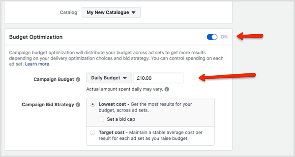 Section Optimisation du budget dans Facebook Ads Manager