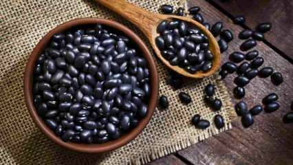 Quels sont les avantages des haricots noirs? Les haricots noirs favorisent la croissance musculaire! 