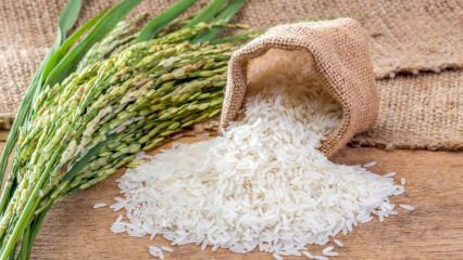 Qu'est-ce que le riz Baldo? Quelles sont les caractéristiques du riz Baldo? Prix ​​du riz Baldo 2020
