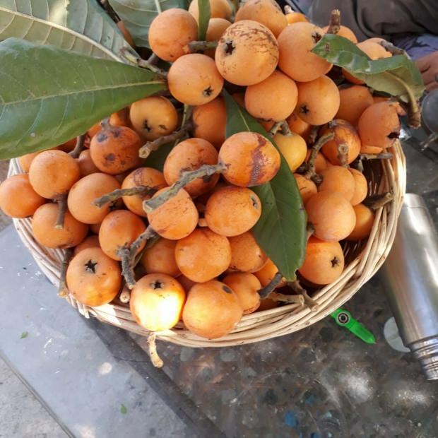 Les bienfaits de la prune maltaise