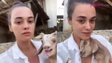 Partage avec l'agneau nouveau-né de l'actrice Hande Soral!