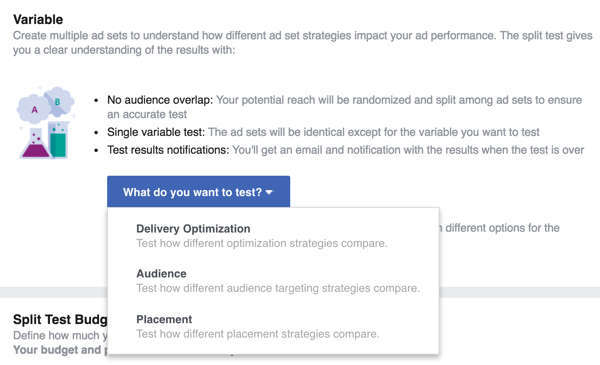 Sélectionnez la variable que vous souhaitez tester avec votre publicité Facebook.