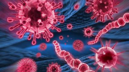 Qu'est-ce que le virus Mers? Quels sont les symptômes du virus Mers? Comment le virus Mers se transmet-il?