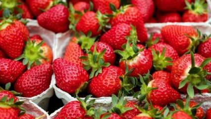 Desserts à base de fraises à la maison