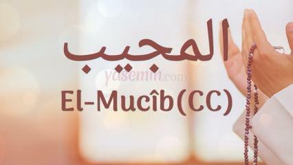 Que signifie al-Mujib (c.c)? Quelles sont les vertus du nom Al-Mujib? Esmaoul Husna Al-Mujib...