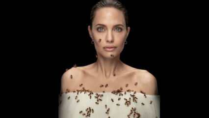 Angelina Jolie en lentille avec des abeilles pour les abeilles!
