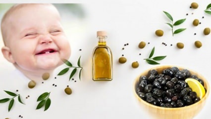 Faire des olives avec peu de sel pour les bébés! Dans quel mois les olives devraient-elles être données aux bébés?