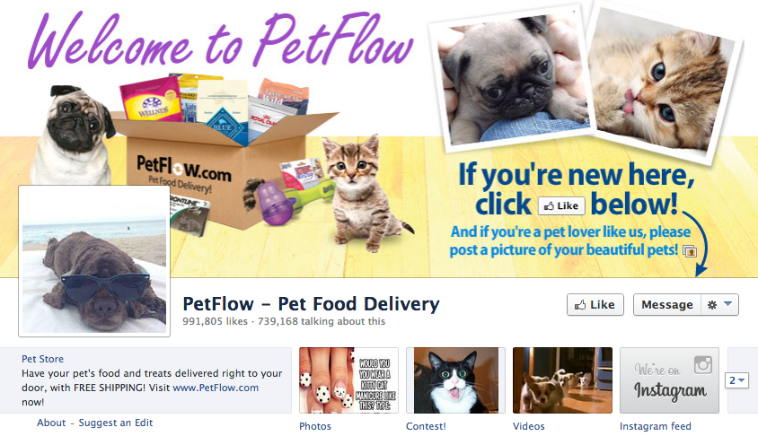 page facebook petflow