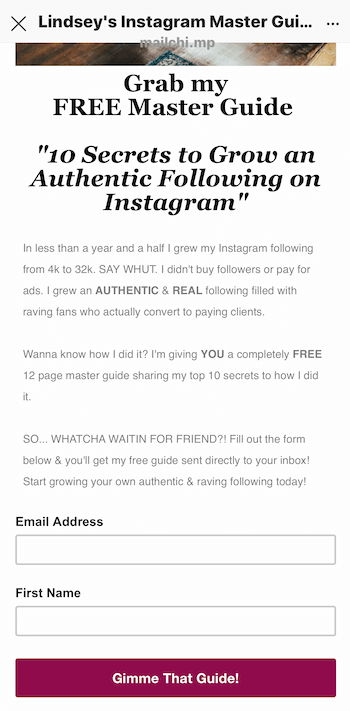exemple de page de destination pour l'aimant principal promu dans l'histoire Instagram
