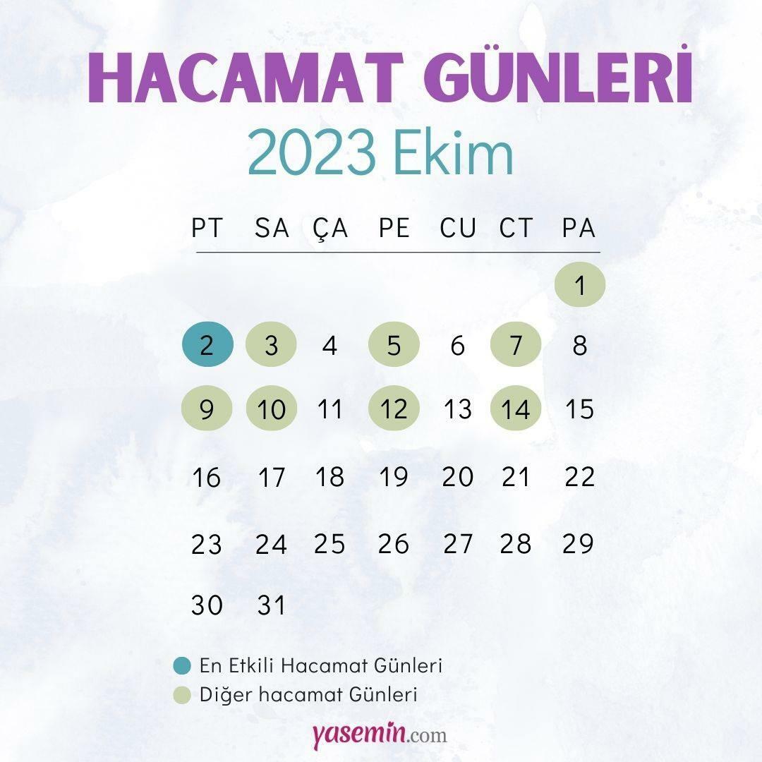 Quand faut-il faire les ventouses? Les journées de dégustation les plus efficaces en octobre 2023