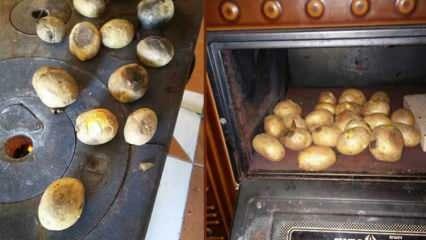 Délicieuse recette de pommes de terre au four! Des pommes de terre entières cuites en quelques minutes ?