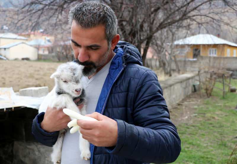 Murat Aydemir a sauvé la vie du chèvre