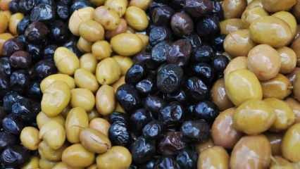 Comment reconnaître les fausses olives? Comment l'olive devient-elle noire? Pour assombrir l'olive ...