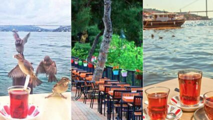 Jardins de thé en famille sur le côté anatolien d'Istanbul