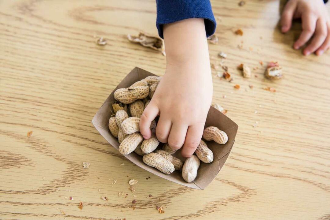 Consommation de noix chez les enfants