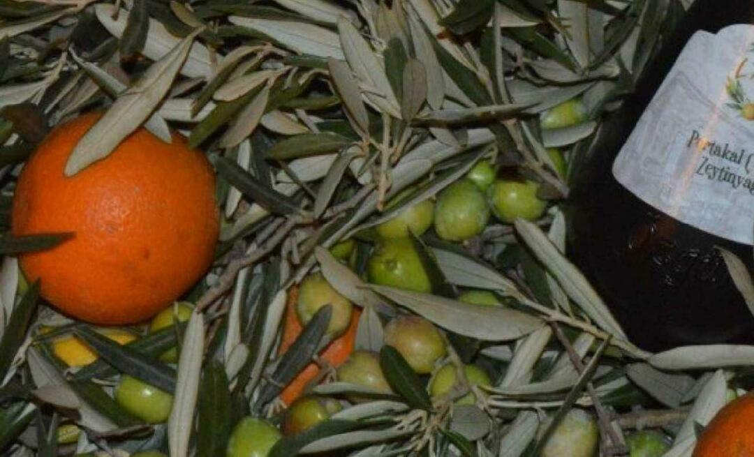 Les femmes entrepreneurs de Balıkesir ont produit de l'huile d'olive orange !