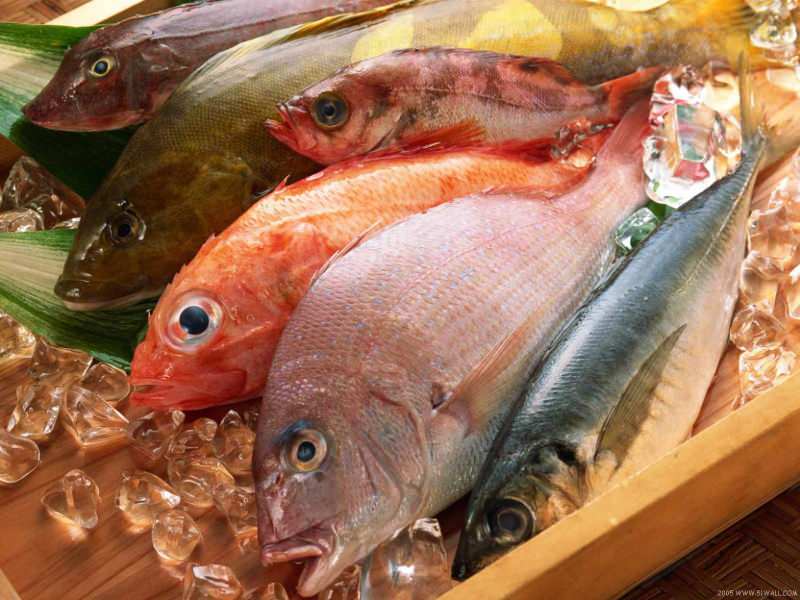 Conseils pour choisir du poisson frais du jury Masterchef Mehmet Chef