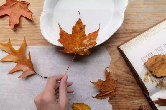 Fabriquer des bols décoratifs à partir de feuilles
