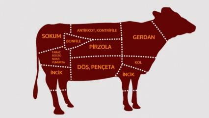 Quelles sont les parties du bœuf? Quelle viande est découpée dans quelle région ?