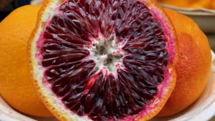 Riche en antioxydants: que sont les oranges sanguines? Quels sont les bienfaits des oranges sanguines?