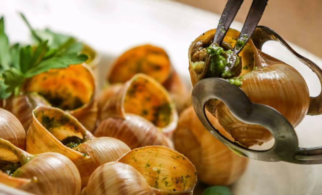 Quel est le plat d'escargots au programme? Comment manger le ragoût de Hochlus