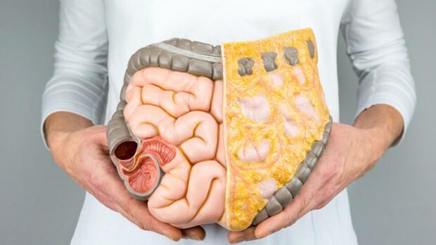 Qu'est-ce que le syndrome de l'intestin agité? Quels sont les symptômes du syndrome de l'intestin agité?