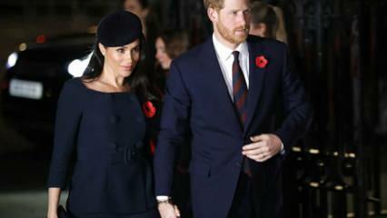 Le prince Harry s'est répandu! `` La vie royale est comme un zoo ''