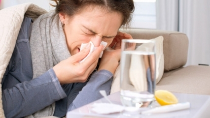 Quels sont les aliments bons contre le rhume et la grippe? 5 aliments qui préviennent la grippe ...