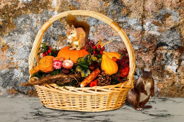 5 objets qui ajouteront de la beauté à votre intérieur en automne!