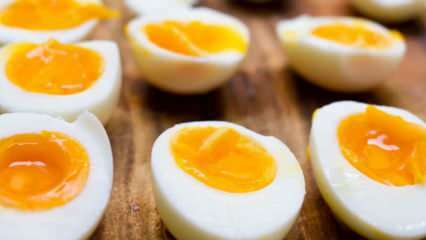 Comment conserver l'œuf à la coque? Conseils pour une cuisson idéale des œufs