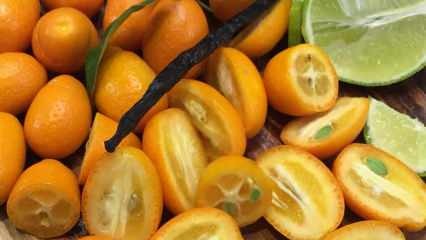 Prévenir le cancer du poumon: quels sont les avantages du kumquat? Comment Kumquat est-il consommé?