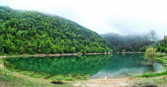 Où se trouve le parc naturel du lac Sülüklü? Comment s'y rendre? Frais d'entrée 2020