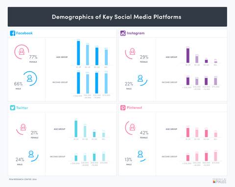 démographie des médias sociaux