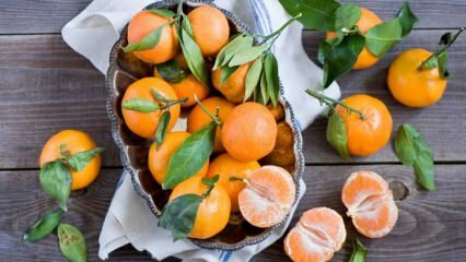 Quels sont les bienfaits de la mandarine? Que se passe-t-il si vous mangez des mandarines pendant une semaine?