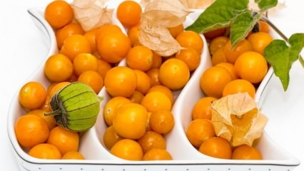 Le jus de citron et les fraises dorées s'affaiblissent-ils? Perte de poids avec des fraises dorées ...
