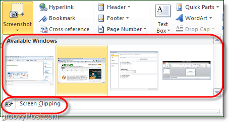 l'outil de capture d'écran a deux options dans Office 2010