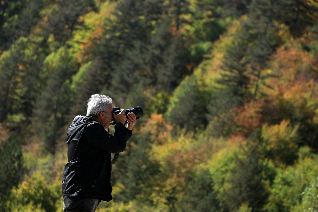 Montagne Ilgaz: Toutes les couleurs de l'automne sont là