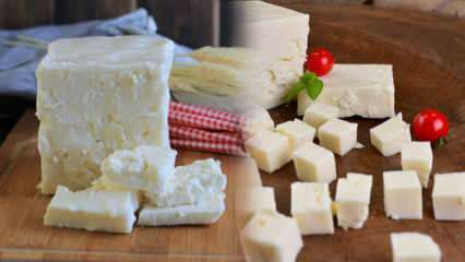 Qu'est-ce que le fromage Ezine et comment est-il compris? Recette de fromage Ezine