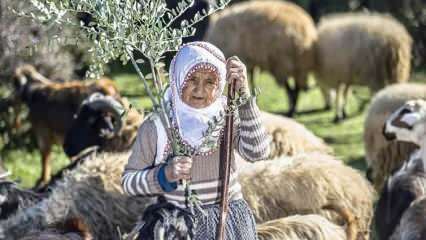 Tante Fatma est berger dans les contreforts des montagnes Amanos depuis un demi-siècle!