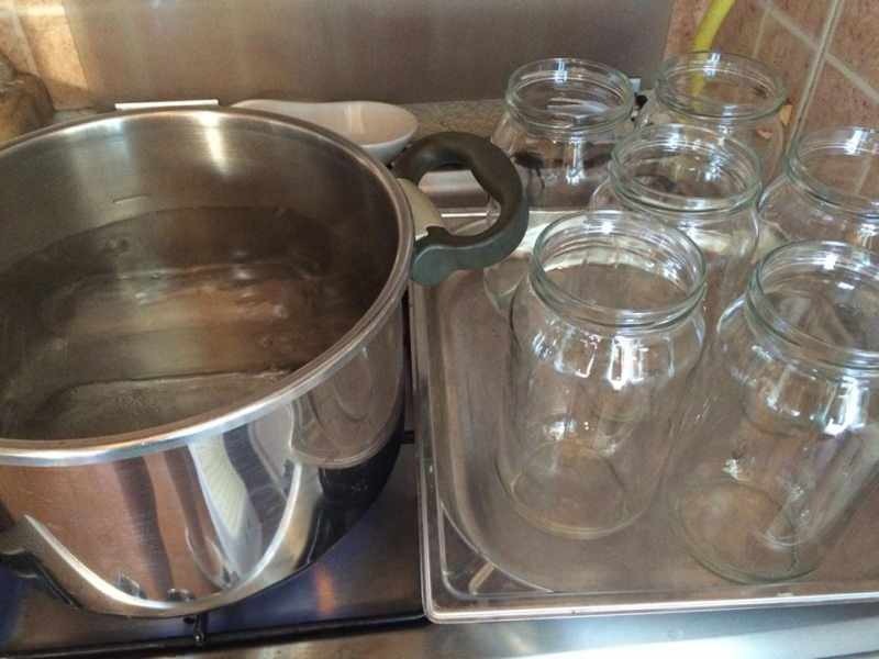 Comment les bocaux en verre sont-ils désinfectés? Méthodes de désinfection des pots ...