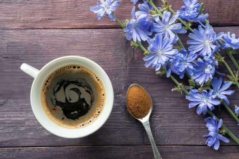Qu'est-ce que le café de chicorée, comment est fabriqué le café de chicorée ?