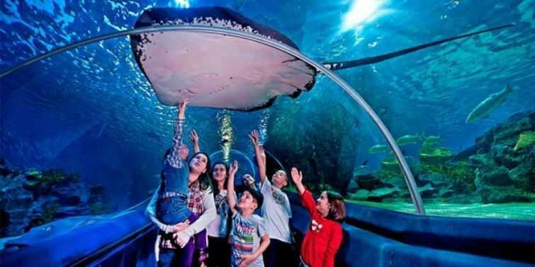  Scènes de l'Aquarium Sea Life d'Istanbul