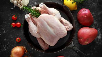 Comment savoir si le poulet est gâté? Quels sont les signes que le poulet se gâte?
