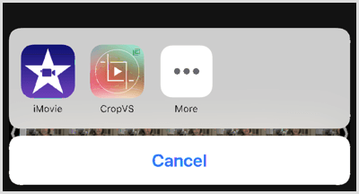 Appuyez sur l'icône CropVS pour ouvrir les outils de l'application.